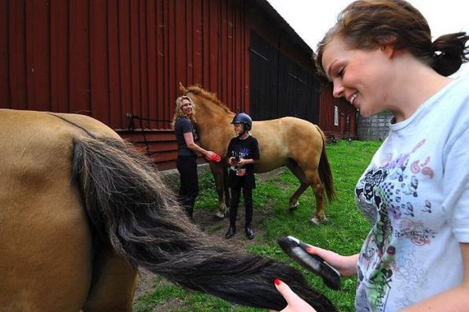 Hästen Ooka görs fin av Caroline Ludvigsson. I bakgrunden mamma Carina och syster Ida. BILD RONNIE SMITH