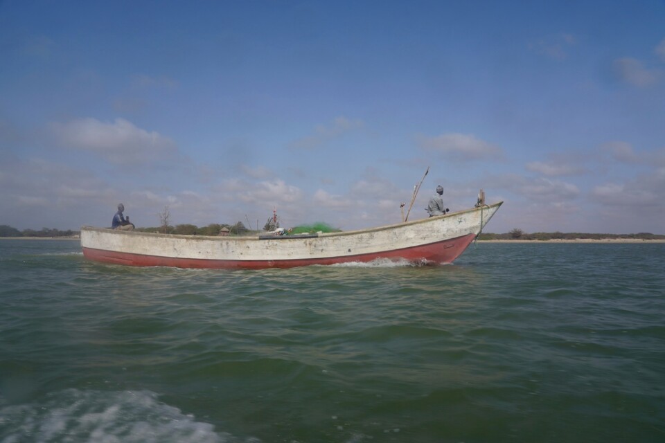 På bilden syns en liknande båt som den migranterna färdades med. Bilden har ingen övrig koppling till händelsen i artikeln.