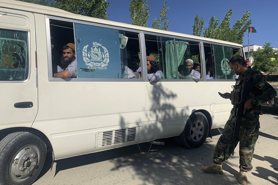 Frisläppta talibaner på en buss.