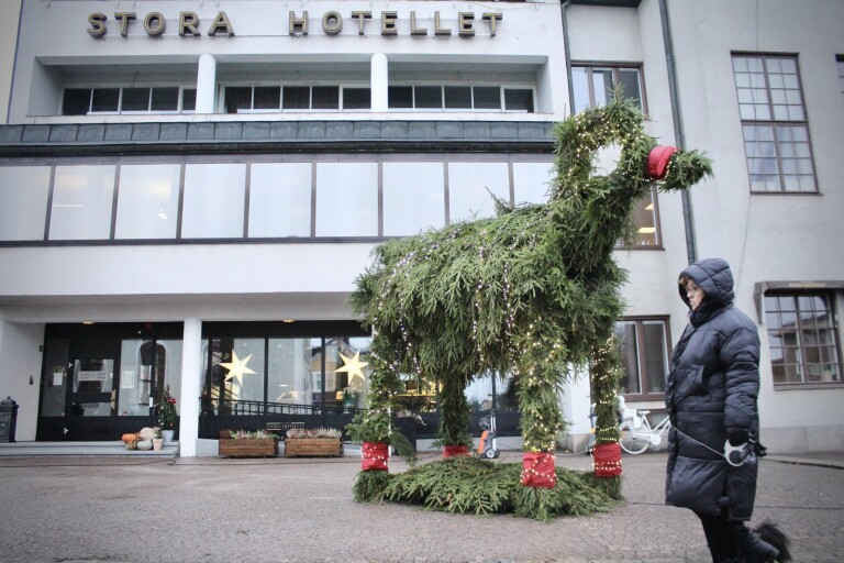 Gigantisk julbock på plats i Nybro centrum: ”Trevlig överraskning”