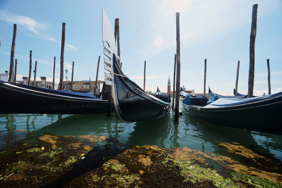Snart kan italienarna få resa fritt igen. Det framgår dock inte om det gäller resor med gondol – som på bilden från Venedig. Arkivbild.