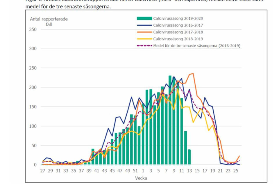 Grafiken visar antal fall av calicivirus, som orsakar vinterkräksjuka, under denna säsong (gröna staplar) jämfört med tidigare år. Siffror från Folkhälsomyndigheten.