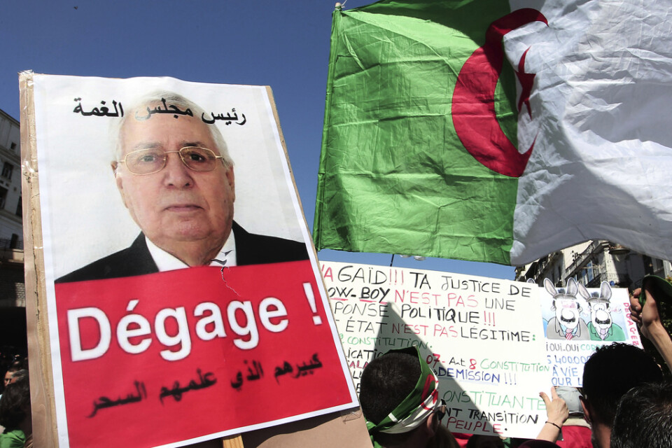 Ett plakat med interimspresidenten Abdelkader Bensalahs porträtt på, och uppmaningen att han ska avgå, under en av de många demonstrationerna mot makteliten i Algeriet. Arkivbild.