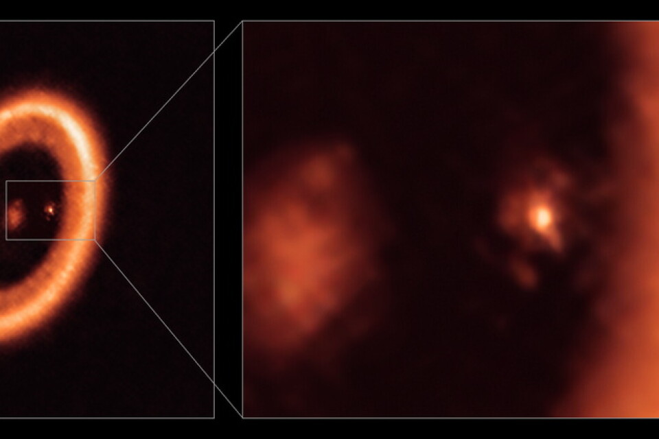Den inzoomade bilden till höger, tagen med Alma, visar planeten PDS 70C i mitten, med en disk av dam och stoft runtom, som tros komma att bilda månar. I den vänstra bilden ses solsystemets stjärna i mitten, med en betydligt större cirkelformad disk som snurrar runt himlakroppen.