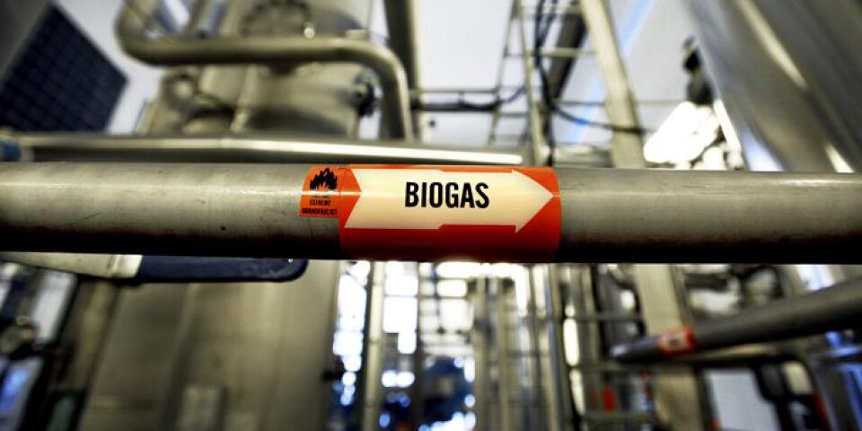 Snart tas första spadtaget för ny biogasanläggning utanför Grimhult