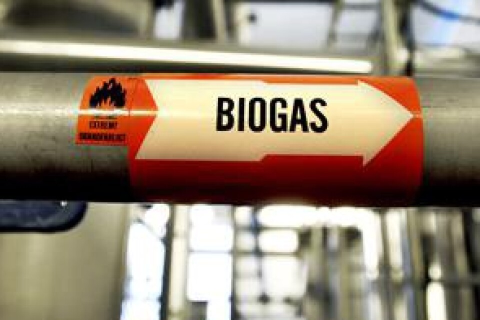 SAMLAT: Hela granskningen om den ifrågasatta biogassatsningen