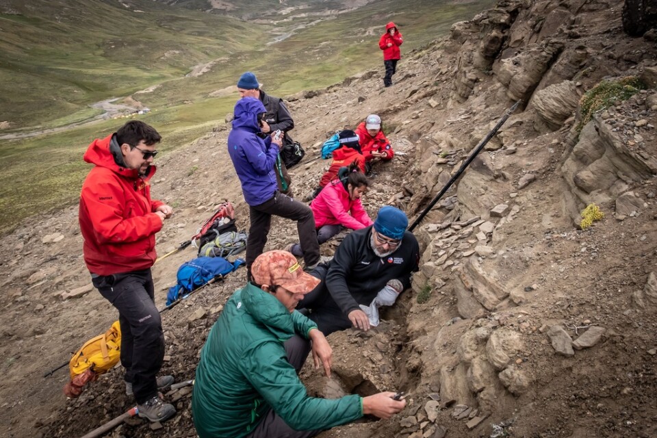 Här, vid berget Cerro Guido i chilenska Patagonien, har forskarna grävt fram lämningar av flera olika dinosaurier.