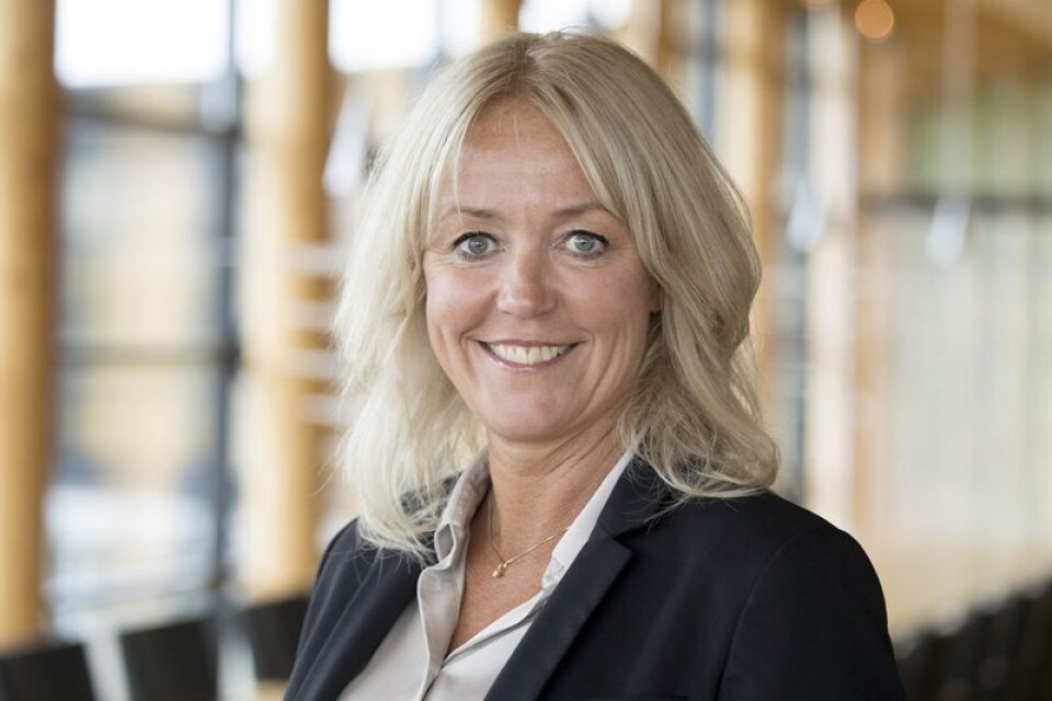 Maria Baldin har utsetts till kommunikations- och hållbarhetsdirektör i Södra. Foto: Henrik Björnsson/Södra