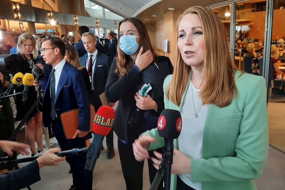 Leader of Centerpartiet, Annie Lööf. C abstained from voting on a new prime minister.