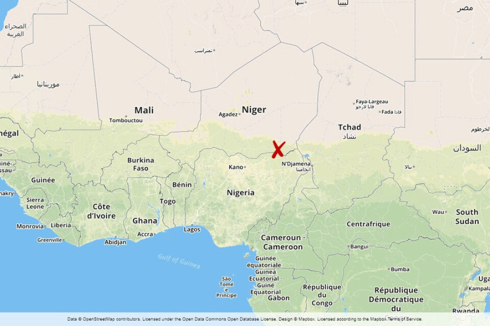 Ett stort antal flyktingar trampades ihjäl när panik utbröt i samband med att mat och pengar delades ut i Diffa i Niger.