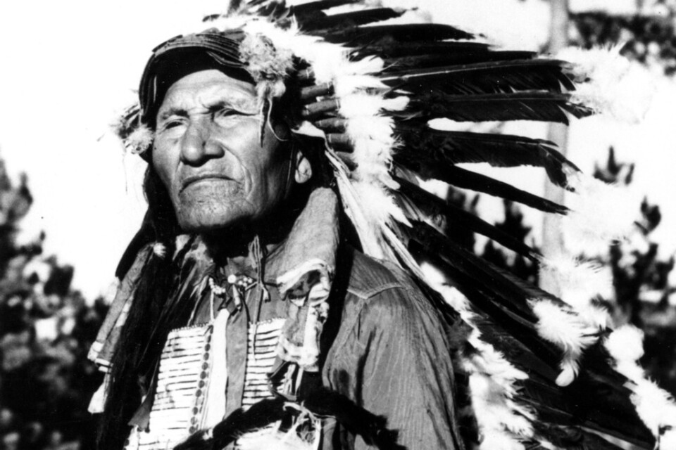 Originalet. Odaterat foto av Sitting Bull, död 1890.