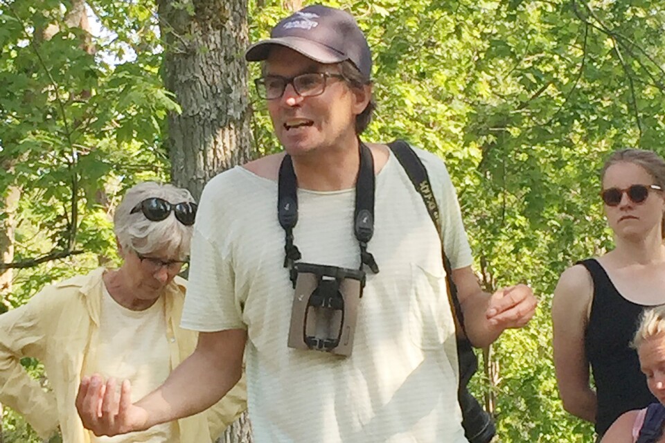Pav Johnsson kan det mesta om insekter och blommor och berättade engagerat för dem som deltog i promenaden på Alvaret och i Mittlandsskogen.