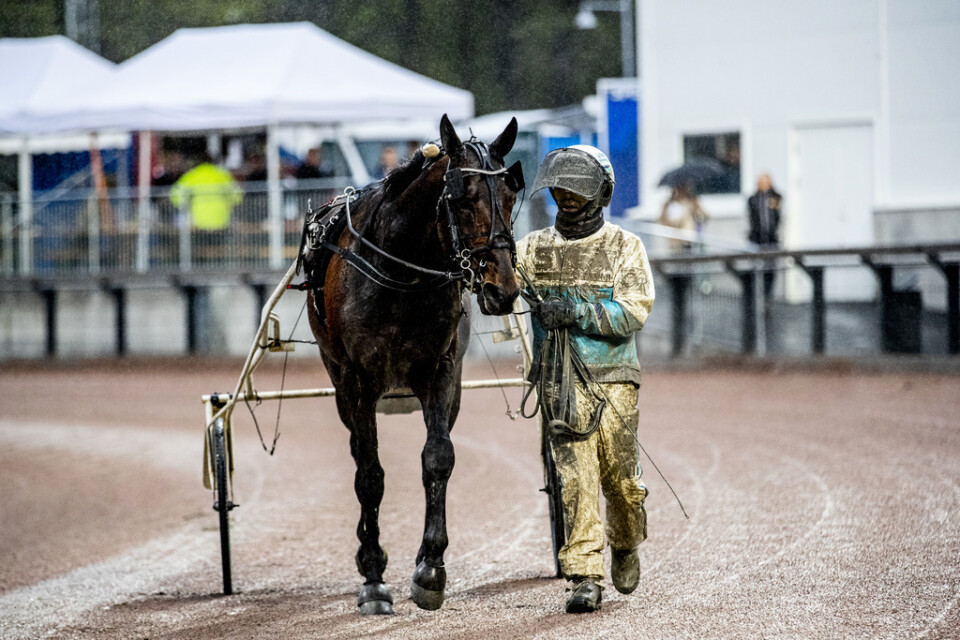 Hästen Propulsion och kusken Örjan Kihlström. Arkivbild.