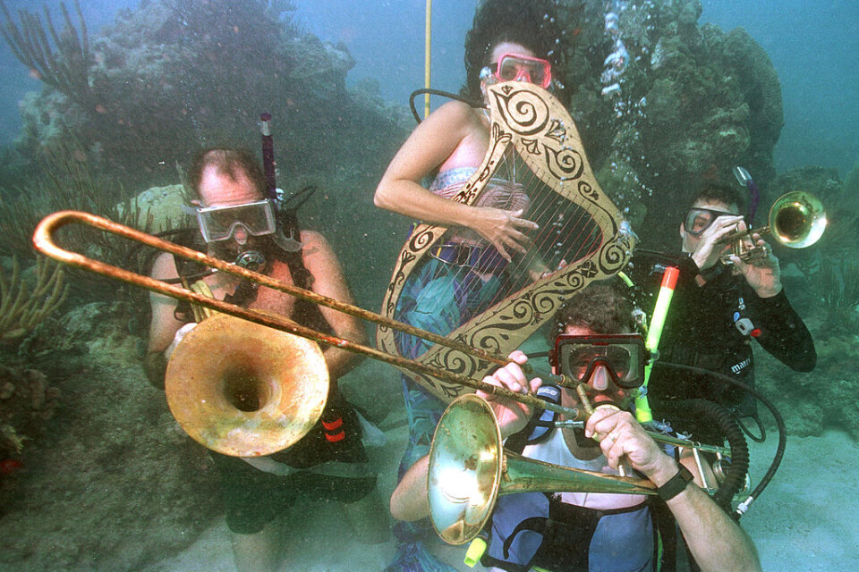 Undervattensmusik för korallreven. Bild från ett tidigare år. Arkivbild.