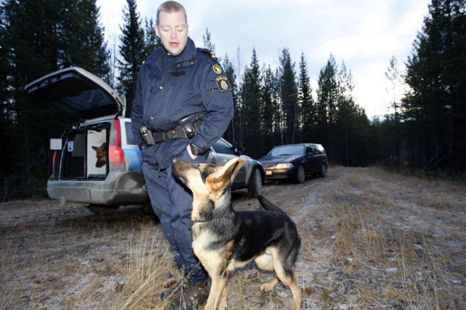På bilden ses hundföraren Martin Asplund med hunden Basker Ville och valpen Riki som deltog i sökandet efter kvinnan.