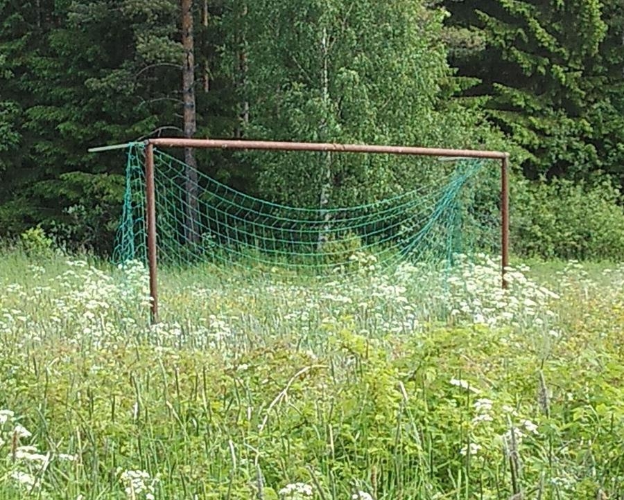 Ett övergivet mål i Söråsen utanför Östersund. Foto Annika Andersson