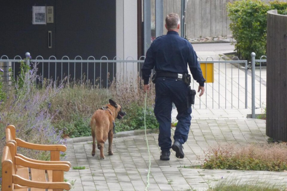 En hundpatrull på jakt efter den misstänkte gärningsmannen. Foto: Casper Johansson/C-J Media