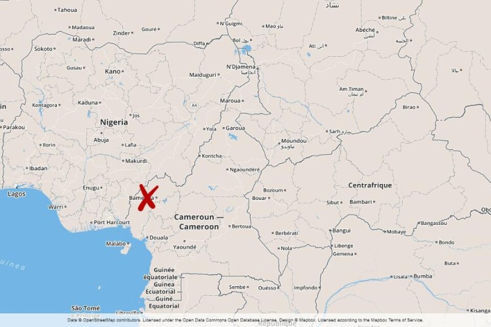 Över 30 människor har dödats i ett av Kameruns engelskspråkiga områden under ännu oklara omständigheter. Men händelserna i staden Menka i nordväst är en av de allvarligaste sedan protesterna inleddes mot den huvudsakligen fransktalande regeringen. Agbor
