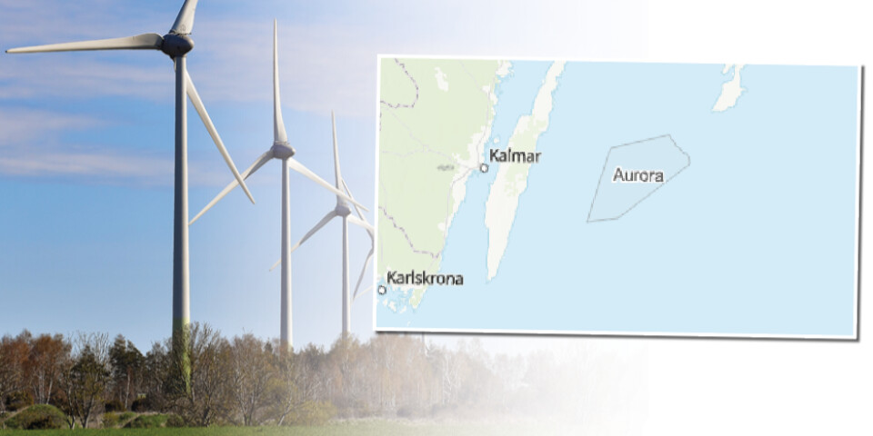 Planer på gigantisk vindkraftspark utanför Ölands östra kust