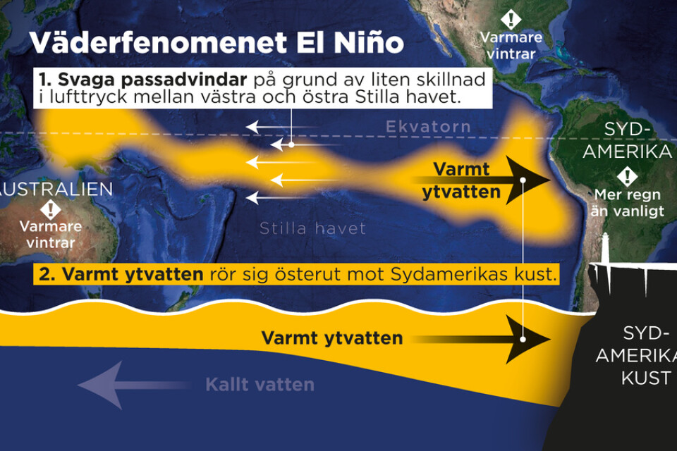 El Niño är ett väderfenomen som uppstår med ett intervall på två till sju år