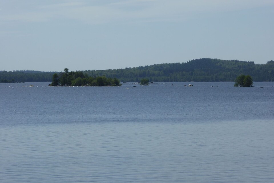 Sjön Åsnen med sin stora övärld och mångfald av arter är nu Sveriges 30:e nationalpark.
