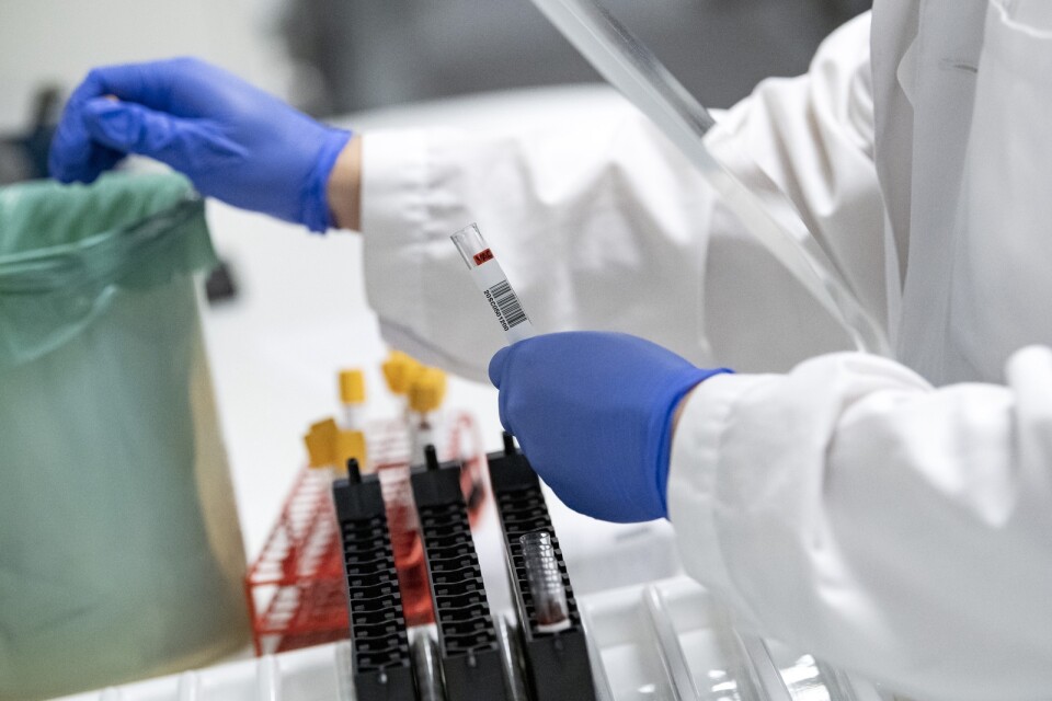 En majoritet av landets regioner avvaktar med antikroppstester, och fokuserar i stället på de tester som visar om man har en pågående infektion. Arkivbild.