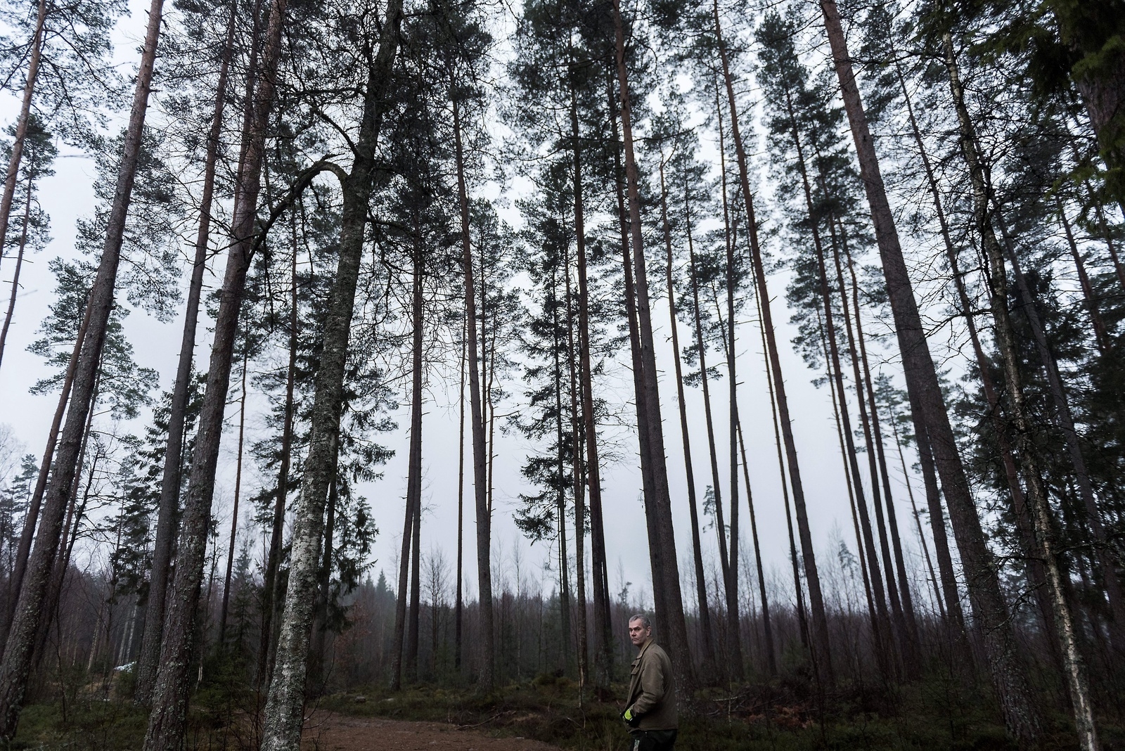 Gudrun var en händelse som ingen någonsin kommer att glömma, säger Lars-Erik Levin i Lönsboda som var en av många drabbade skogsägare. Foto: Sofia Åström