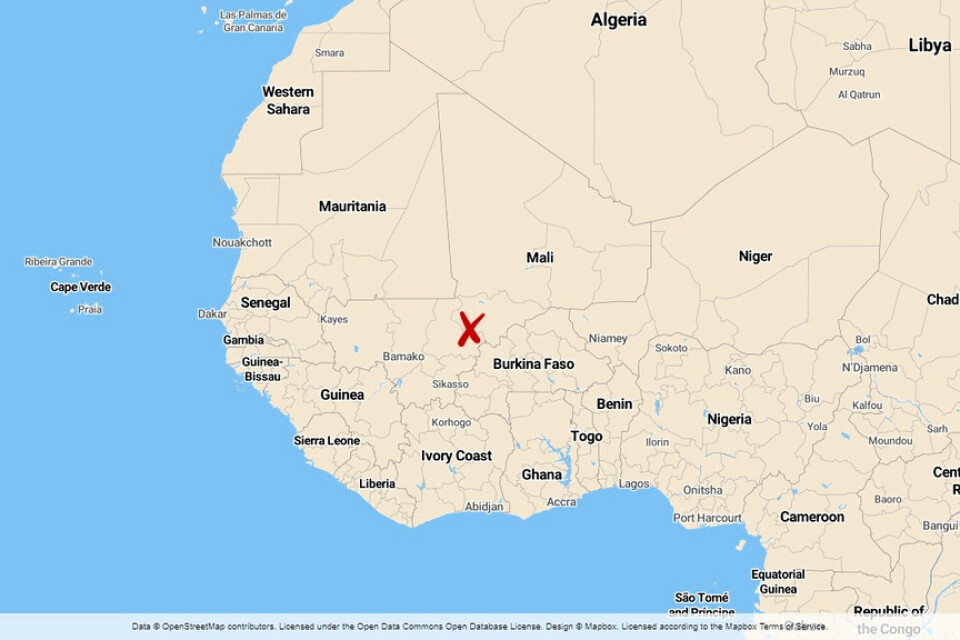 Ett 40-tal människor har dödats i attacker mot avlägset belägna byar i Mali och i bakhåll.