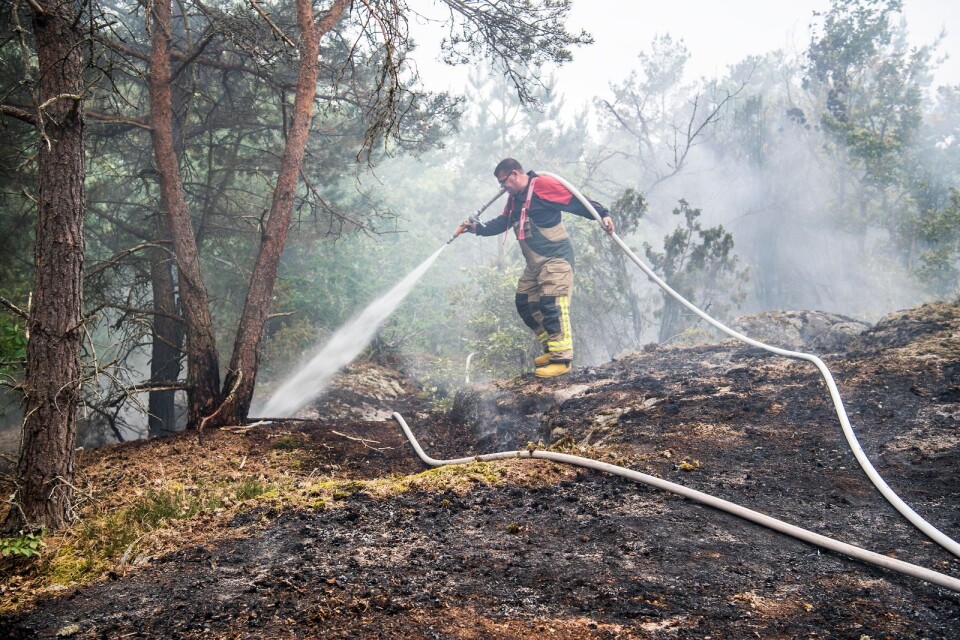 الأراضي الجافة، خدمة الإنقاذ في كرستيانستاد، هسلاهولم، وأوسترا يونغي، وبروميلا قامت بإطفاء العديد من الحرائق خلال عيد الفصح.