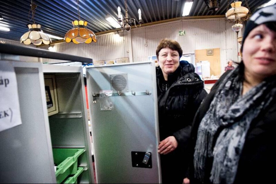 Marianne Bjärstedt gick på visningen och såg ett Sadelvärmarskåp, till nyprisvärde av 30 000 kronor. Hon ringde dit sin dotter Lina som lyckades buda hem skåpet för 5?000.