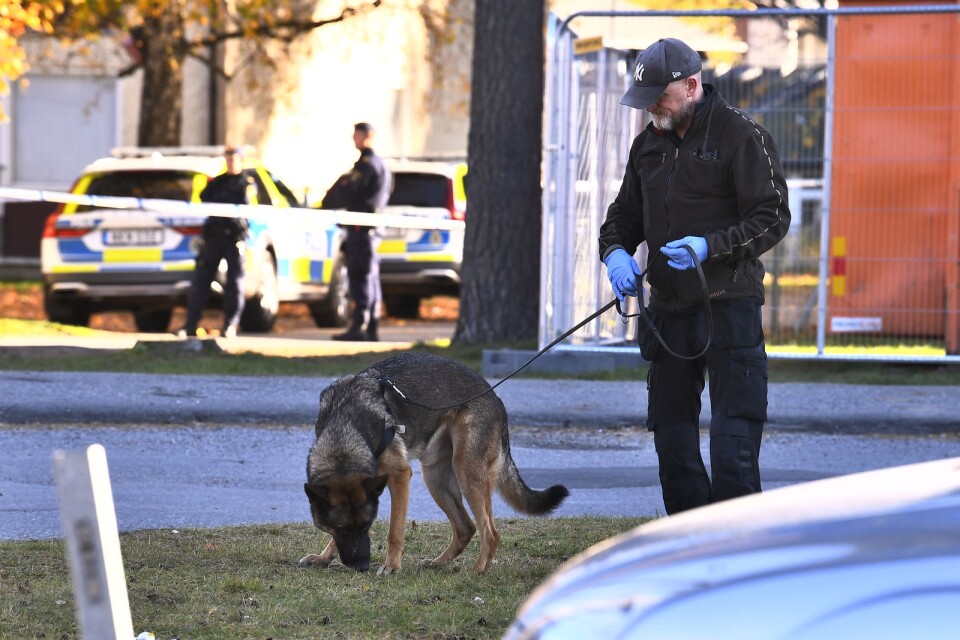 En polishund i arbete på den plats i Jordbro där en man blivit skjuten i armen.