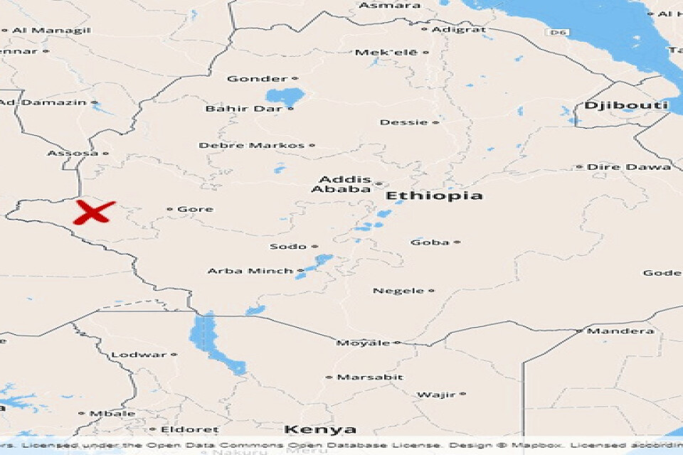 Två hjälparbetare har dödats i regionen Gambella i västra Etiopien.