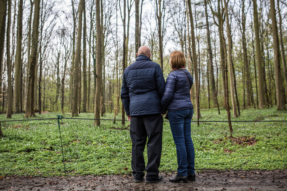 Till den här skogsgläntan tyckte belgiska Maïlys Dereymaeker, som dog i terrordådet på Drottninggatan 2017, om att gå. Föräldrarna vill inte framträda med sina ansikten.