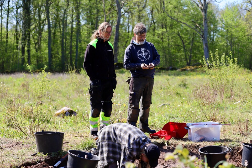 Ludvig Papmehl-Dufay och Sven Isaksson ser fram emot att gräva vid outforskade öländska fornborgar.