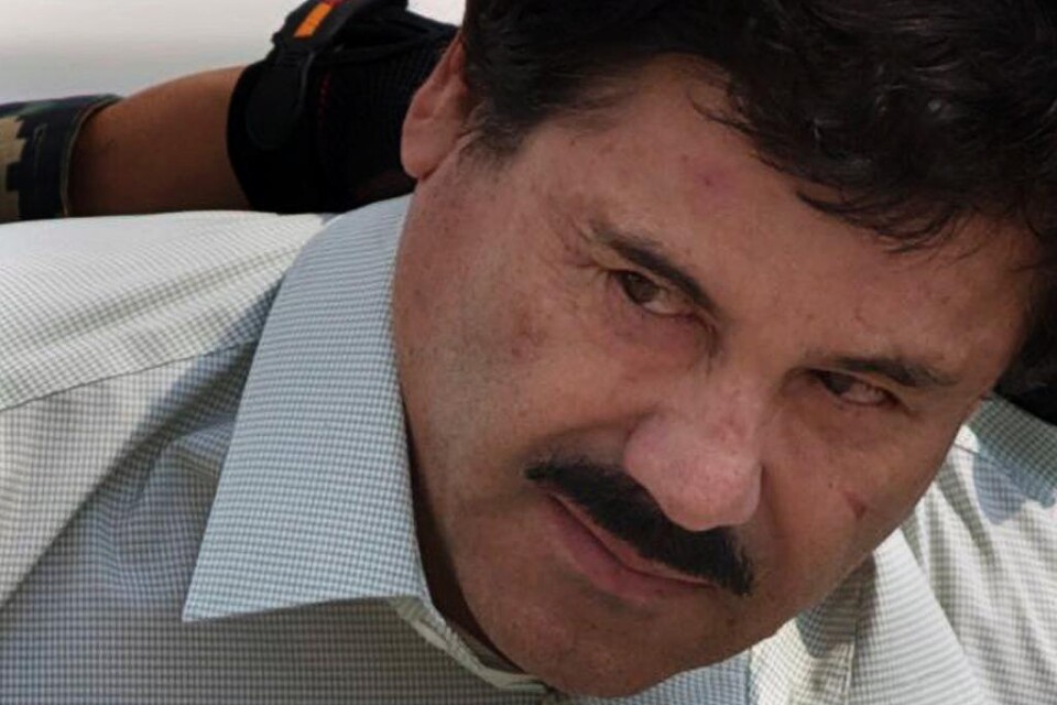 Den mexikanske knarkkungen Joaquín \"El Chapo\" Guzmán jagas av polis i stora delar av världen, från Amerika till Europa och Australien. Det hävdar Jack Riley, biträdande chef för USA:s narkotikapolis DEA. - Jakten på honom är ett maraton, inte ett sprin