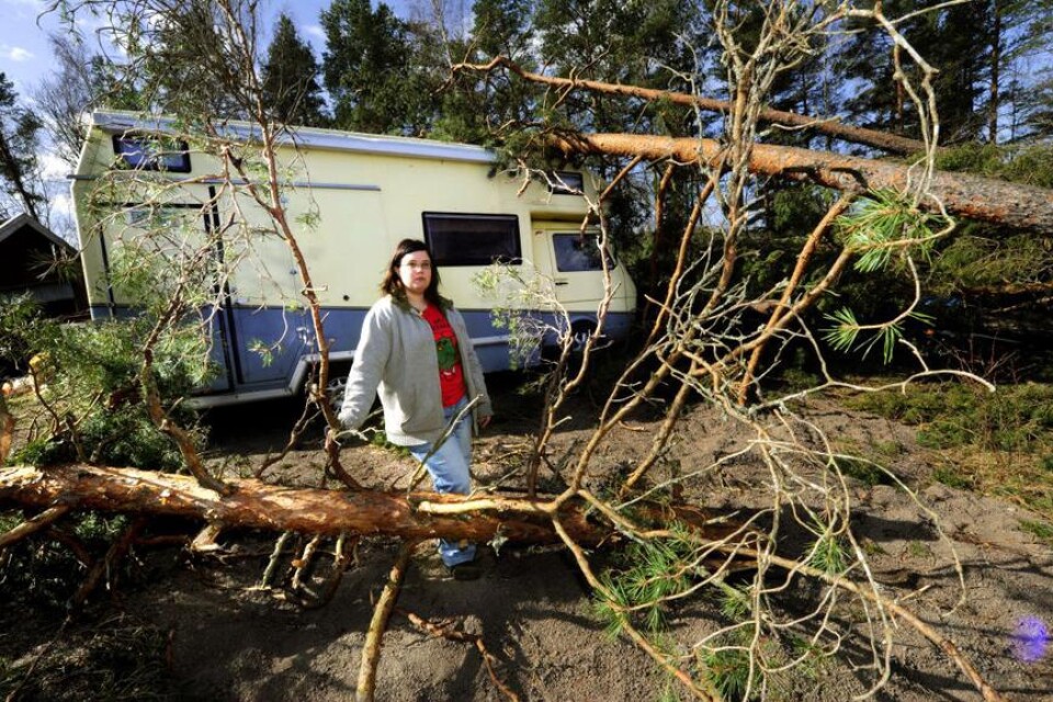 Överallt föll träden hos familjen Eriksson i Ängvik, Blomsterhult.
? En gren gick rakt igenom husbilens tak, berättar dottern Mariette Eriksson.