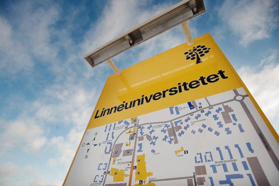Linnéuniversitetet måste ta en större roll i kontakter mellan studerande och företag i regionen.