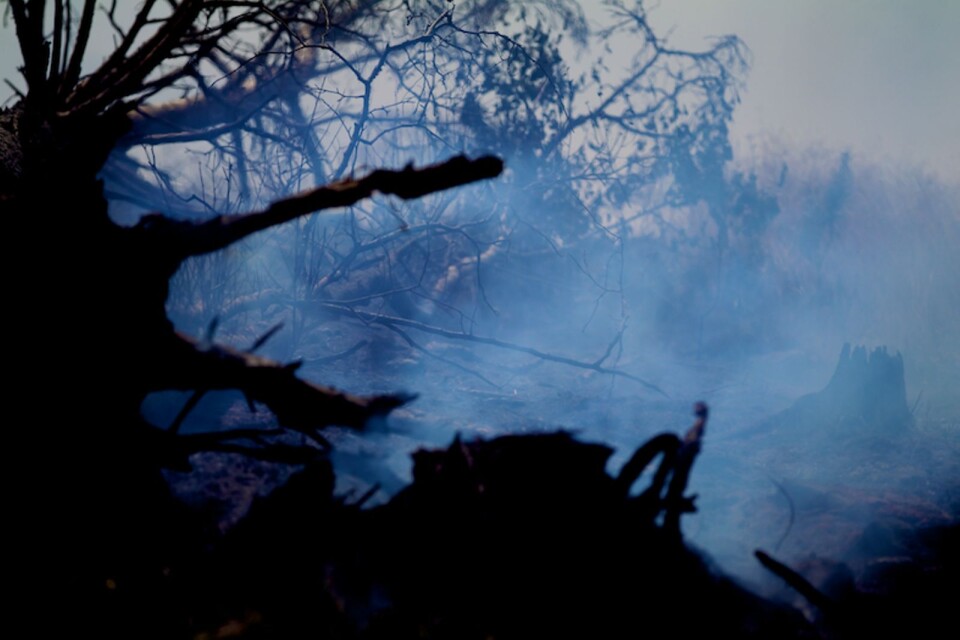 Skogsbranden på bilden har ingen koppling till branden i Högsby kommun.