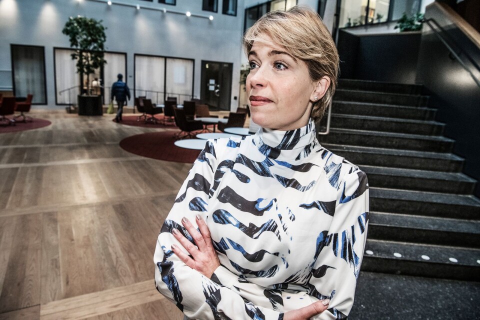 Socialförsäkringsminister Annika Strandhäll (S) har rätt i att länder som oroar sig över den demografiska utvecklingen har skäl att ta efter den svenska familjepolitiken.