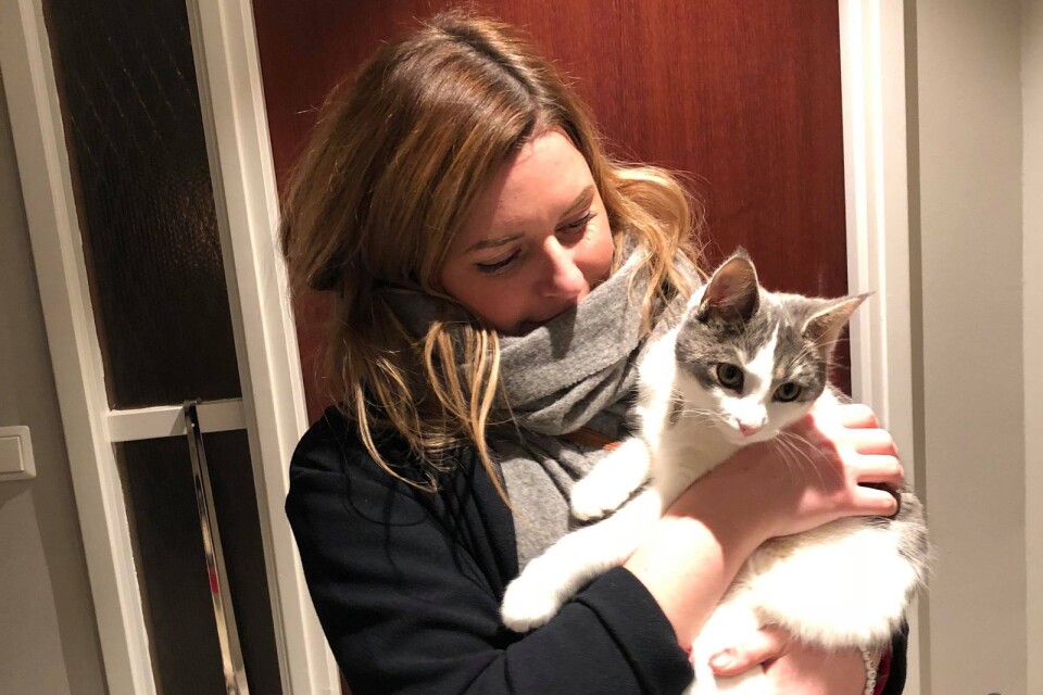 Erica Edlingsson med sin katt Sulan som efter flera dagars kamp mot en misstänkt förgiftning inte klarade sig.