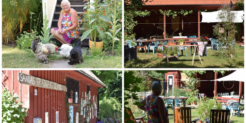 Här är vårens och sommarens artistprogram hos Sandås Trädgård Öland