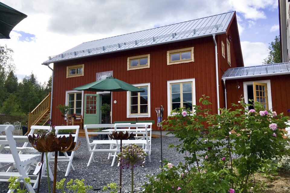 Presteles trädgårdskafé ligger i Hörnsjö i Västerbotten.