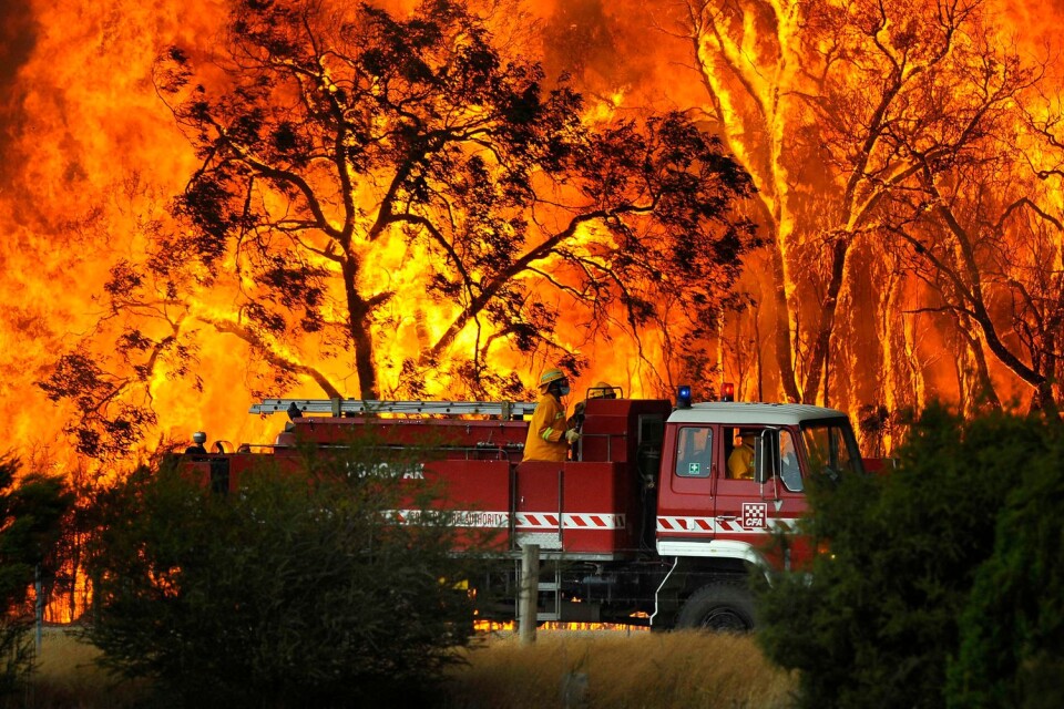 Skogsbränder härjar just nu i delstaten Victoria i Australien. Bilden är tagen vid ett tidigare tillfälle.