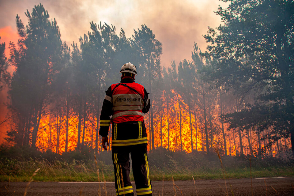 I sydvästra Frankrike har bränderna ödelagt omkring 10|000 hektar mark sedan i tisdags.